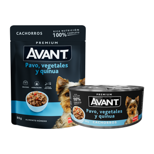 Avant Cachorros Pavo, vegetales y quinua