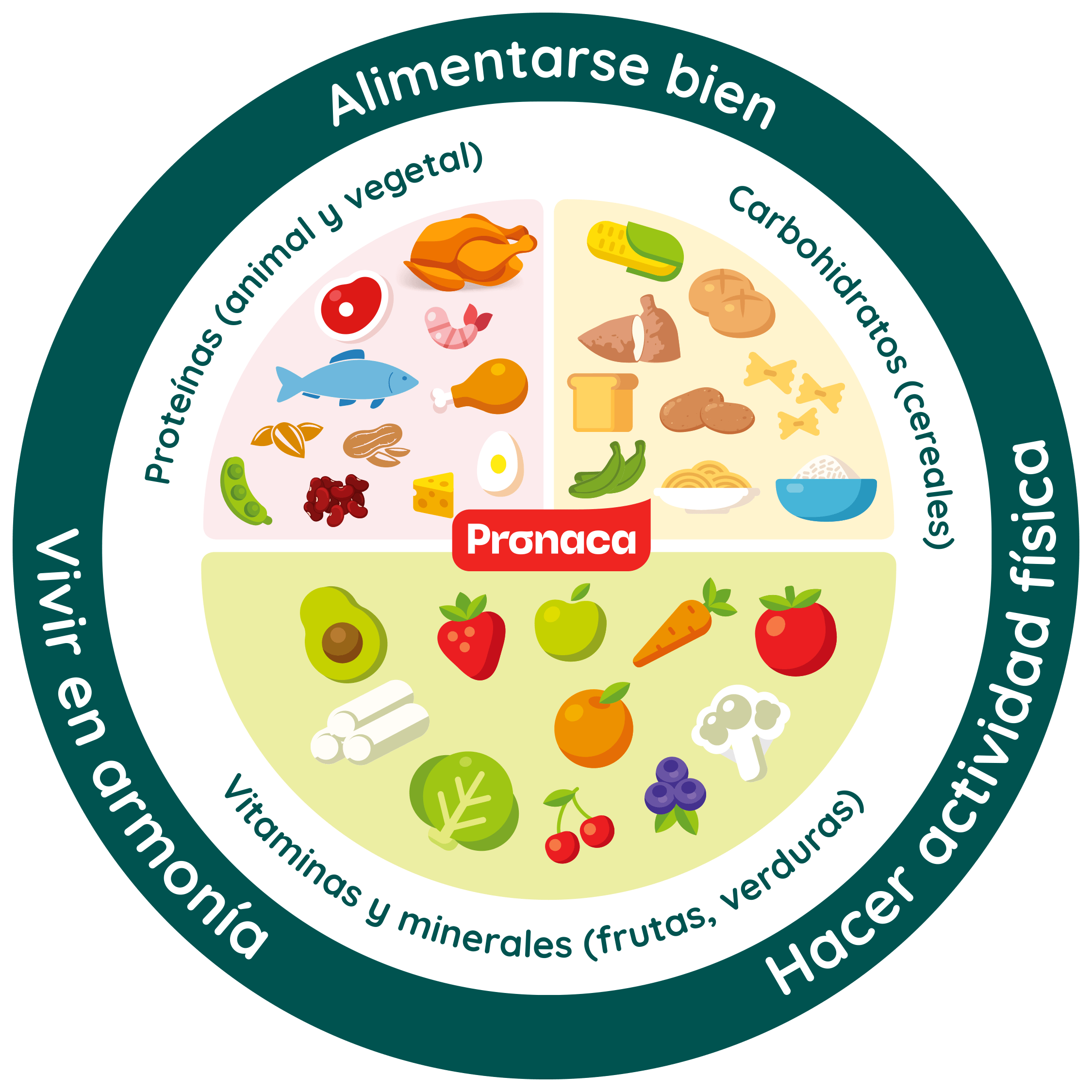 Plato ideal Pronaca: proteínas, carbohidratos, vitaminas y minerales